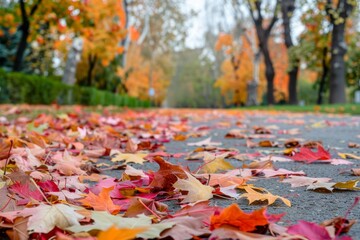 Brightly colored autumn leaves scattered on a pathway, with a softly blurred background of trees and a park.