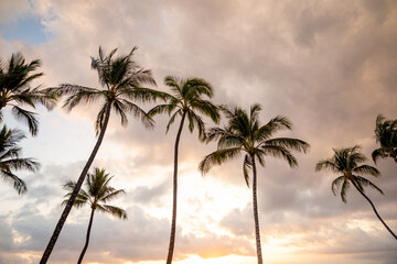 Obraz premium Tropical Landscape Photos on Maui, Hawaii