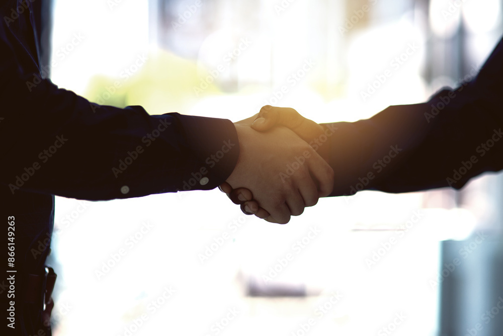 Canvas Prints Partnership, business people and shaking hands for deal, agreement and b2b connectivity. Onboarding, negotiation and handshake for networking, opportunity and congratulations at corporate meeting.