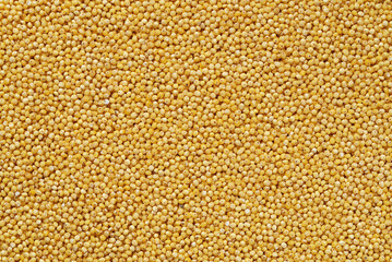 Texture of natural healthy millet grain top view.