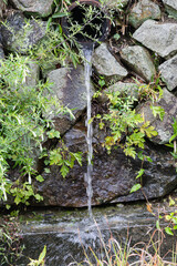 石垣の土管から雨水