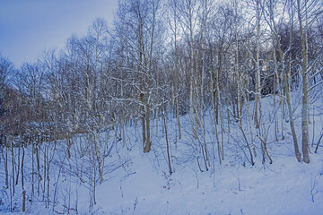 Vire of nature near the highway in winter season of Japan