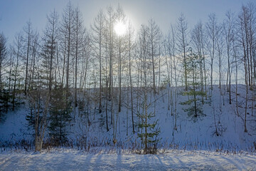 Vire of nature near the highway in winter season of Japan