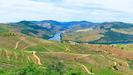 Beautiful panoramic view of Douro valley- Portugal