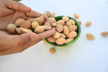 Almond with shell. It's other name Prunus amygdalus and Prunus dulcis. The almond is also the name of the edible and widely cultivated seed of this tree. indian almond.