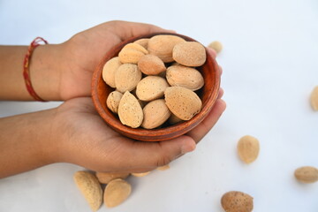 Almond with shell. It's other name Prunus amygdalus and Prunus dulcis. The almond is also the name of the edible and widely cultivated seed of this tree. indian almond.