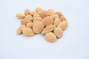 Almond with shell. It's other name Prunus amygdalus and Prunus dulcis. The almond is also the name of the edible and widely cultivated seed of this tree. indian almond.