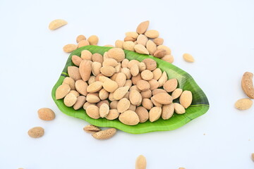 Almond with shell. It's other name Prunus amygdalus and Prunus dulcis. The almond is also the name of the edible and widely cultivated seed of this tree. indian almond.