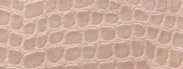 Texture velvet beige background from soft upholstery textile material, macro. Abstract velour brown fabric