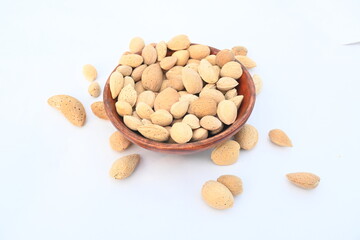 Almond with shell. It's other name Prunus amygdalus and Prunus dulcis. The almond is also the name of the edible and widely cultivated seed of this tree. indian almond.