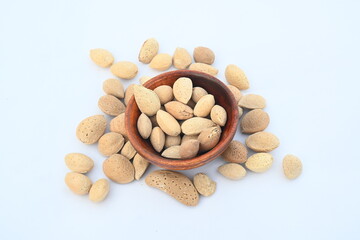 Almond with shell. It's other name Prunus amygdalus and Prunus dulcis. The almond is also the name of the edible and widely cultivated seed of this tree. indian almond.
