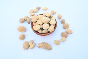 Almond with shell. It's other name Prunus amygdalus and Prunus dulcis. The almond is also the name of the edible and widely cultivated seed of this tree. indian almond.