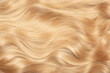 Blond hair close-up as a background. Women's long blonde hair. Beautifully styled wavy shiny curls....