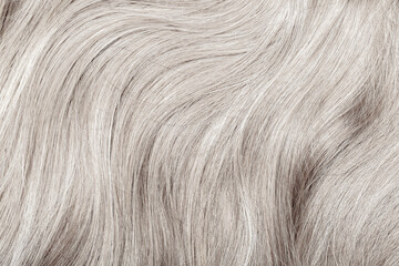 Blond hair close-up as a background. Women's long blonde hair. Beautifully styled wavy shiny curls. Hair coloring. Hairdressing procedures, extension. White hair