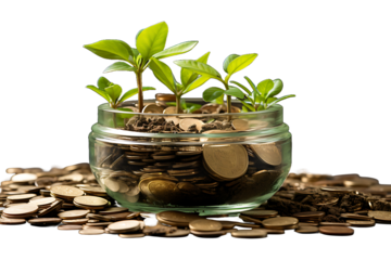 Money Growth Concept Isolated on transparent background