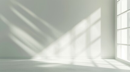 Obraz premium Abstract white studio background for product presentation. Empty room with shadows of window. Display product with blurred backdrop. potted plant
