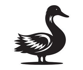 Duck isolated on white