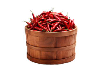 Fiery Harvest: A Rustic Bucket Overflowing With Spicy Red Chili Peppers on White or PNG Transparent Background.