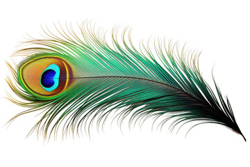 Ethereal Elegance: A Majestic Peacock Feather Unveiled on White or PNG Transparent Background.