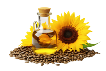 A Bottle of Sunshine: Sunflower Oil and Sunflower on White or PNG Transparent Background.