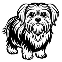 Maltese dog silhouette Vector and illustration isolated on white, design for laser cutting wall art and POD.