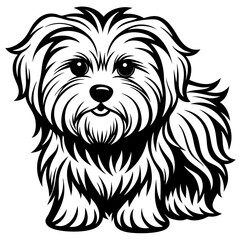 Maltese dog silhouette Vector and illustration isolated on white, design for laser cutting wall art and POD.