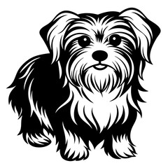 Maltese dog silhouette Vector and illustration isolated on white, design for laser cutting wall art and POD.