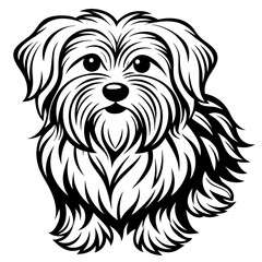Maltese dog silhouette Vector and illustration isolated on white, design for laser cutting wall art and POD.