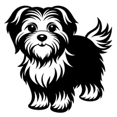 Maltese dog silhouette Vector and illustration isolated on white, design for laser cutting wall art and POD.
