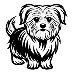 Maltese dog silhouette Vector and illustration isolated on white, design for laser cutting wall art and POD.