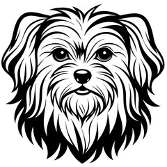 Maltese dog silhouette Vector and illustration isolated on white, design for laser cutting wall art and POD.