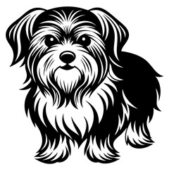 Maltese dog silhouette Vector and illustration isolated on white, design for laser cutting wall art and POD.