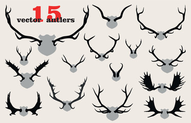 set of black symmetrical antlers of Deer Elk Roe deer bull and others