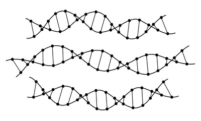Illustrations of DNA strand fragments