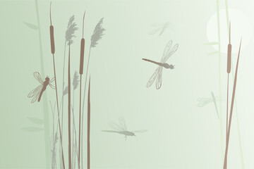 Dragonfly flying over the meadow in summer time. Illustration