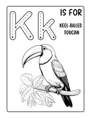 Obraz premium Black and white coloring page of the letter K with an illustration of keel-billed toucan in the style of simple vector lines