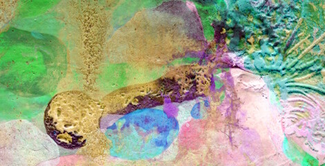 Bursting with Energy: Experience the Whimsy of a Colorburst on a Cute and Colorful Abstract Background