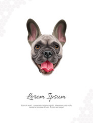 Vector Dog Breed French Bulldog wall decor ideas