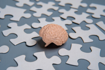 A close-up model of a human brain surrounded by scattered puzzle pieces.