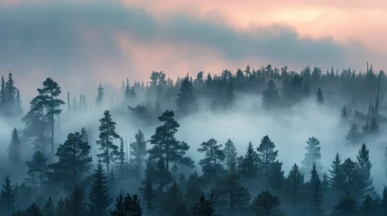Wandcirkels Mistig bos Fog rolling over a serene pine forest at dawn with muted colors and soft light  © venusvi
