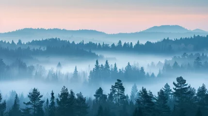 Printed kitchen splashbacks Fog rolling over a serene pine forest at dawn with muted colors and soft light