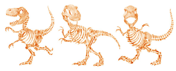 Tyrannosaurus rex skeleton . Hand drawn watercolor paint design . Cute cartoon characters . Set 11 . Illustration . © stockdevil