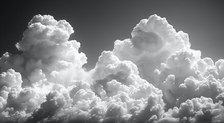 Close-up of white lily flowers against a black background. Aspect ratio 21:9. Created using generative AI