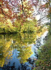 Autumn trees reflected in water, Delaware & Raritan canal State Park Trail- Kingston, Princeton, New Jersey, USA
