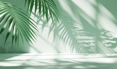 Ingelijste posters Ziekenhuis Green palm leaves casting shadows on a light green background with natural sunlight  © Ivan