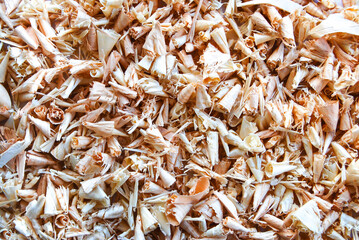 wood shavings in the form of cones are laid out on the surface