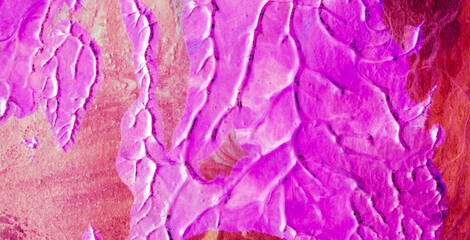 Naklejka premium Embrace the Joy: Dive into a Cheerful Kaleidoscope of Colors and Shapes in an Abstract Wonderland