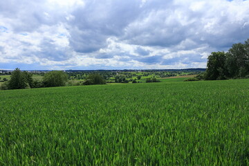 Blick über das heckengäu richtug rutesheim