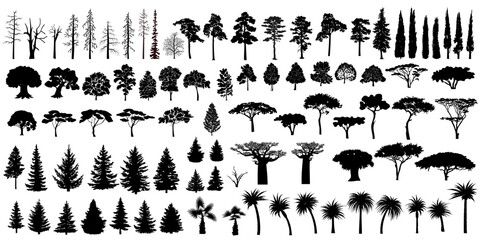 Big set of tree silhouettes. Trees of different natural zones, vector illustration.