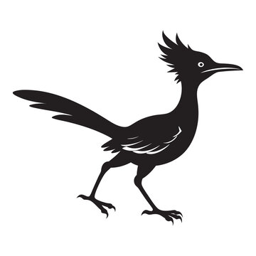 recommend clip art: silhouette of a bird roadrunner